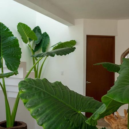 Recamara 5 Tulum Apartment Cancun Exterior photo